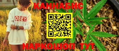 spice Кунгур