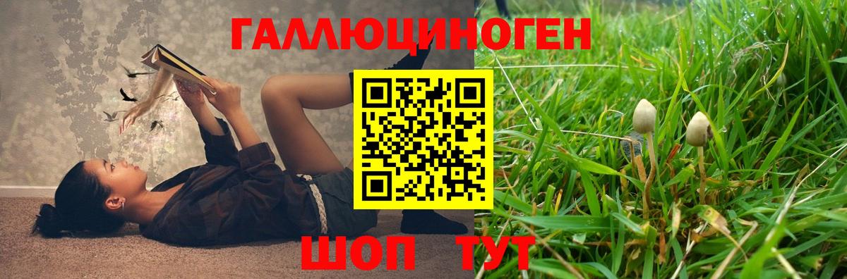 Псилоцибиновые грибы ЛСД  Псилоцибиновые грибы мицелий  Вход с VPN  Карачаевск 
